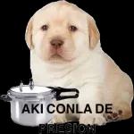 ratas