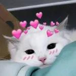cute