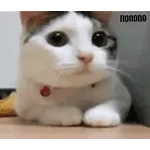 tierno