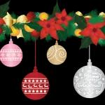 merry Christmas～🎄