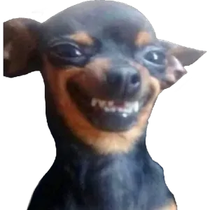 qzLZm0