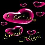 morning rose 🌹 for my lover😘