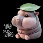 หมูดุ้งฮิปโปตัวกลมใบไม้