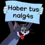HERISTE MIS SENTIMIENTOS