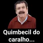 nunca te viste aos tombos