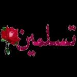 تسلمين