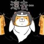 不理你惹