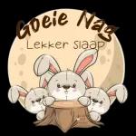 Lekker slaap 