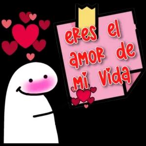 eres el amor de Mi Vida  - getsticker.com
