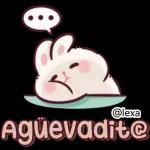 🎀🐰Andy, Conejo🐰🎀 2