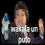 QUE LINDO ES SER PERONISTA NACION