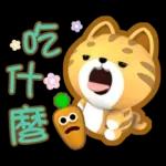 閃亮的日子=椪柑=