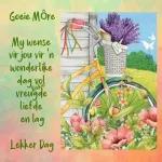 Mag jou drome so mooi wees dat