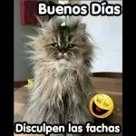  Quien te
dio
permiso?