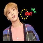 NCT 127 SPECIAL