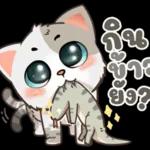 น้องมิน คาบรักมาฝาก