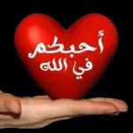 مجنون کروز
غلاك وسط القلب
مـالـه نهايه.
0000000