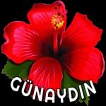 aynur
