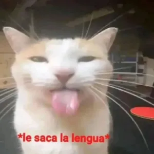 AuyEqr
