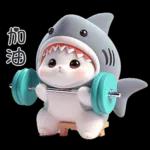 Shark Chubby Meow [TW]