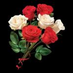 You were born to stand out ✨