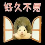 小仓鼠生活日常pack1