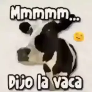 7YqJA9