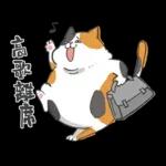 肥貓躺躺(上班鳥事)