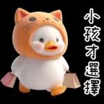 湯圓鴨5：貓貓頭套