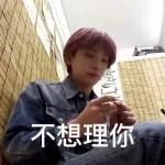 seventeen表情管理2 :: @fStikBot