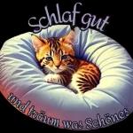 Schlaf gut
und träum was Schönes