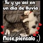 FUI IGNORADO CON ÉXITO!