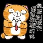 白爛貓45☆打工仔☆