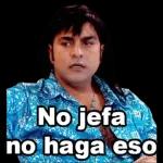 florecita, te lastimé?