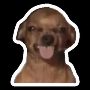 DkEbHp