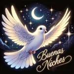 Buenas noches