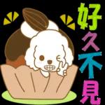 白貴賓犬表情包