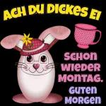 Ohh
Wow!!!
BUGS
BUNNY