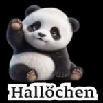 süße Panda❤️😍