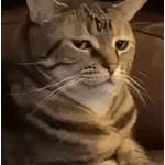 Te deseo buenos dias😘