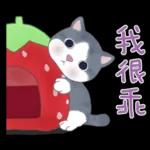 懶貓家族12 小太陽和家人-甜蜜草莓篇