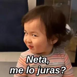 Neta, Pay me lo juras? - getsticker.com