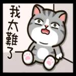 Good day How are you🥰❤️