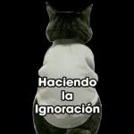 Memes
