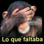 Lo di todo