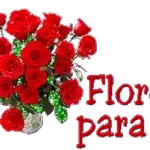 柴犬が亀に乗っている