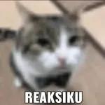 REAKSIKU