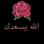 اضافه الى الوتس