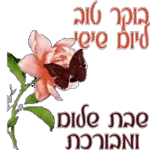 אוהבים אותם