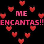 Todo Lorena mi amor eres tu TAN